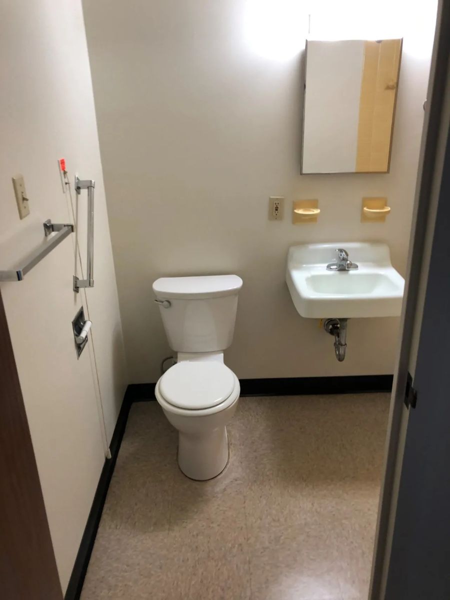 Toilet and sink with grab bars