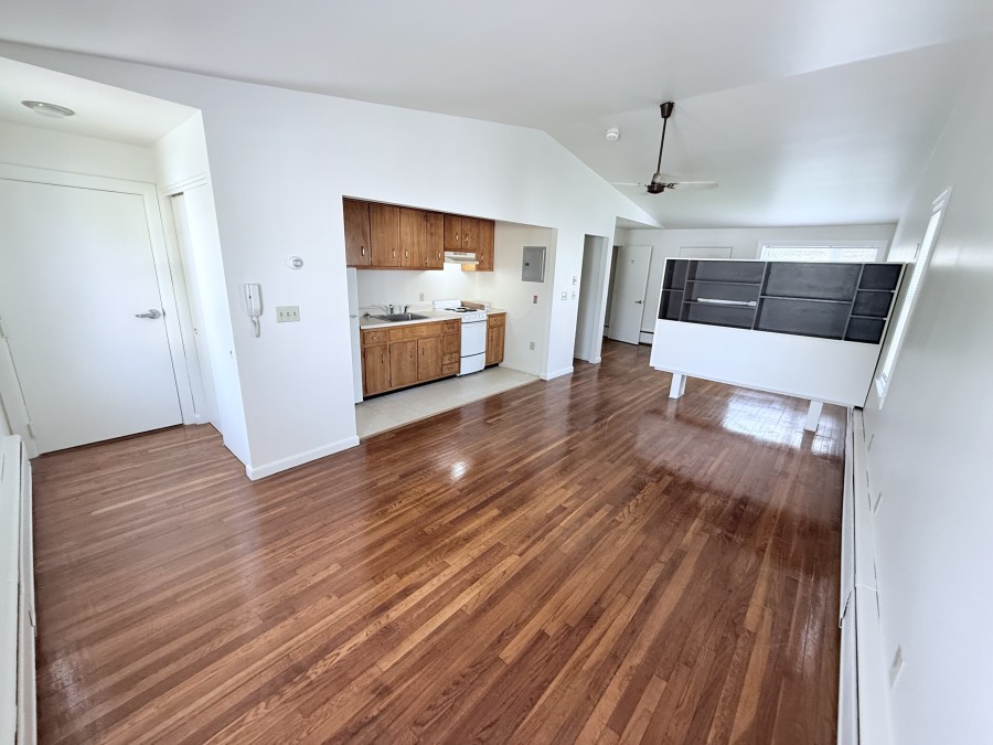 Living Room and Kitchen