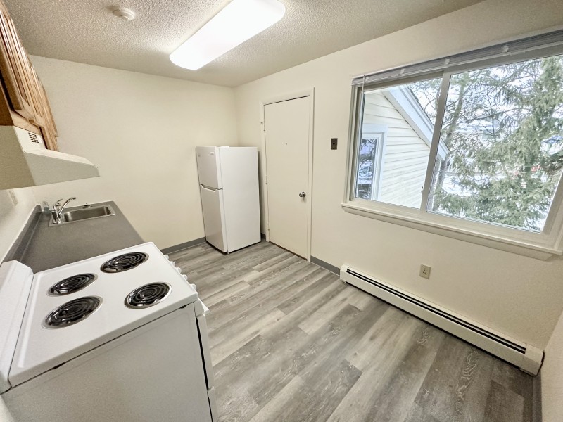 Kitchen refridgerator and window